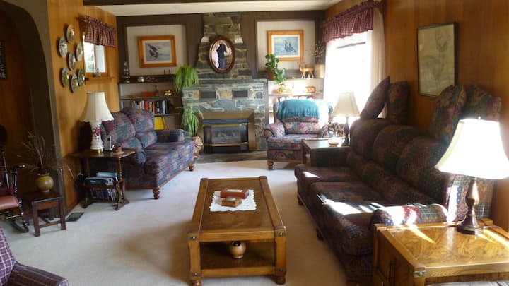 宽敞舒适的客厅，配有燃气壁炉