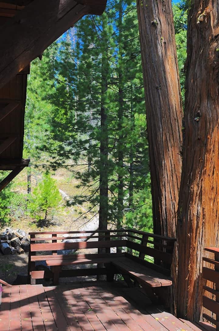 Bright cabin in Strawberry near Pinecrest Lake Cabins for Rent in