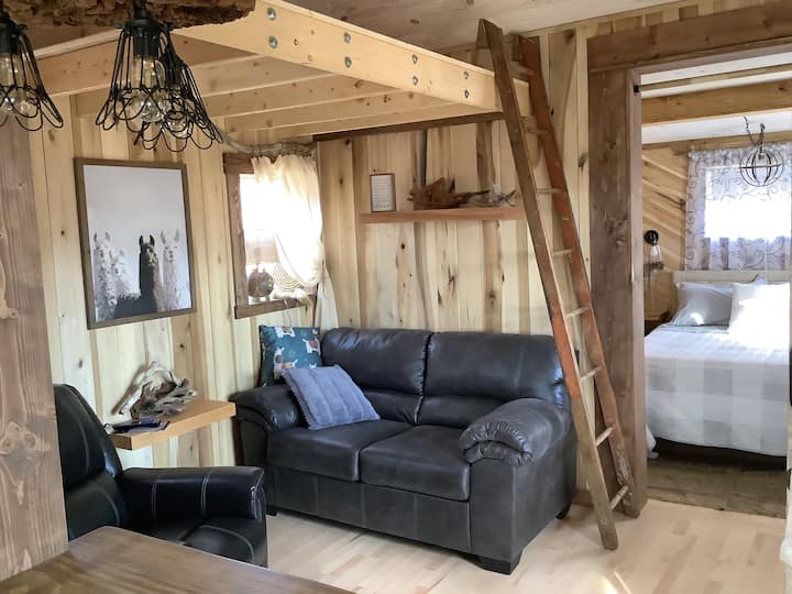 The Cozy Carter Cabin - Alabama