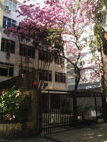 Cozy place, fancy area gallery image 4