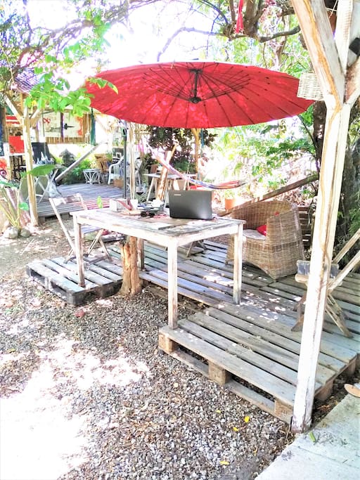 Coin jardin wifi et calme près des poissons (guppies, antimoustiques)