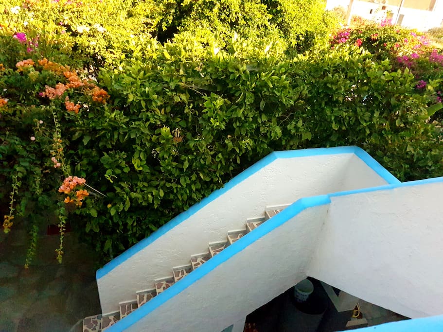 Upstairs apartments with amazing sea view!!