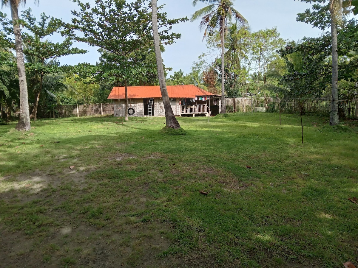 A spacious garden is framed by palm trees and lush greenery, featuring well-maintained grass. A cozy cottage with a red roof is visible in the background, set within a fully fenced area that enhances privacy.