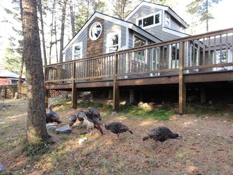 Retro-Modern Cabin in the Pines