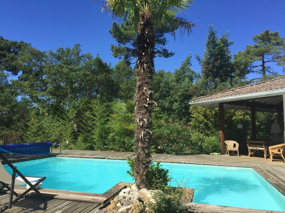Superbe piscine a l'abri de tous regards