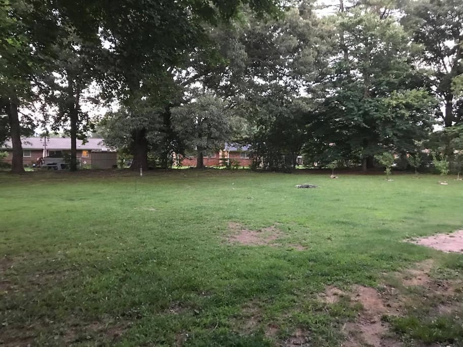 Our backyard.