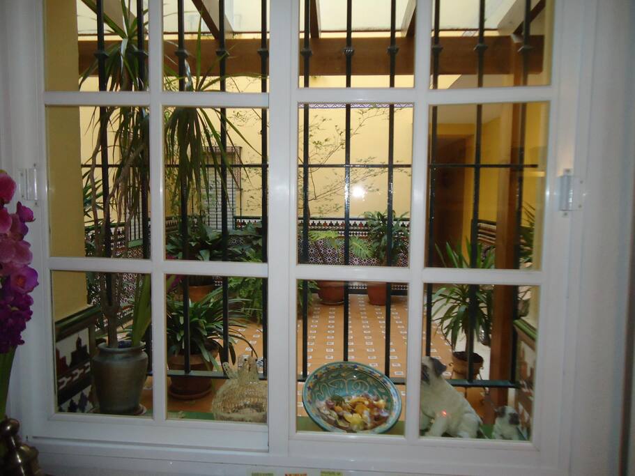 Vistas la patio
