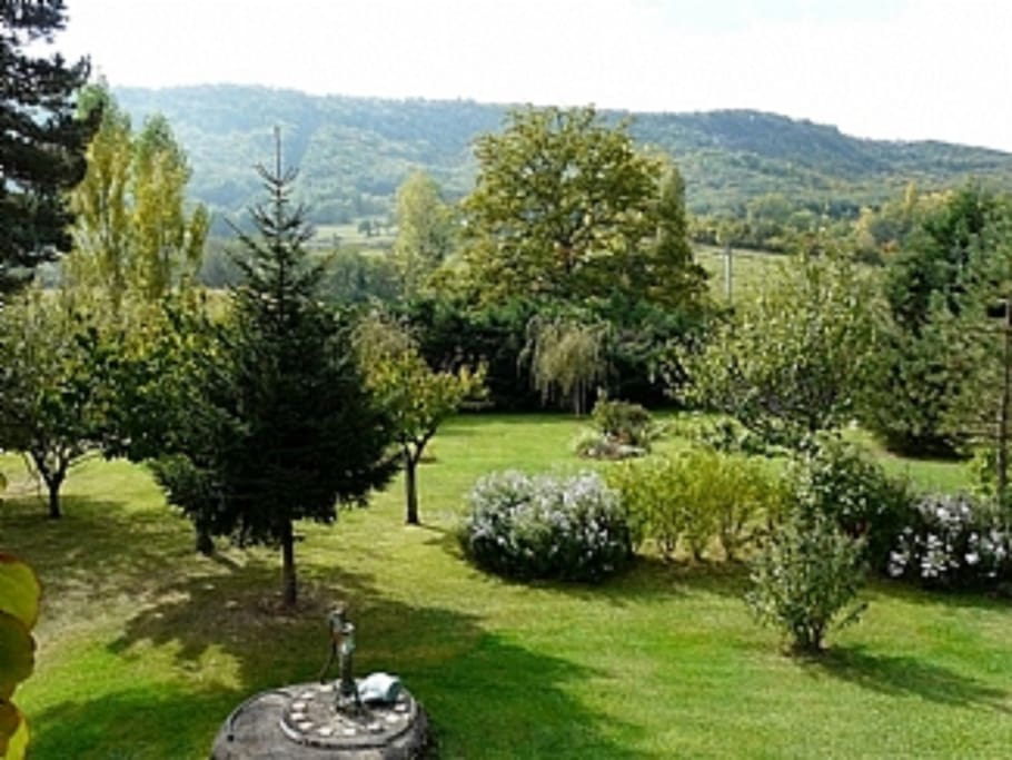 Garden view