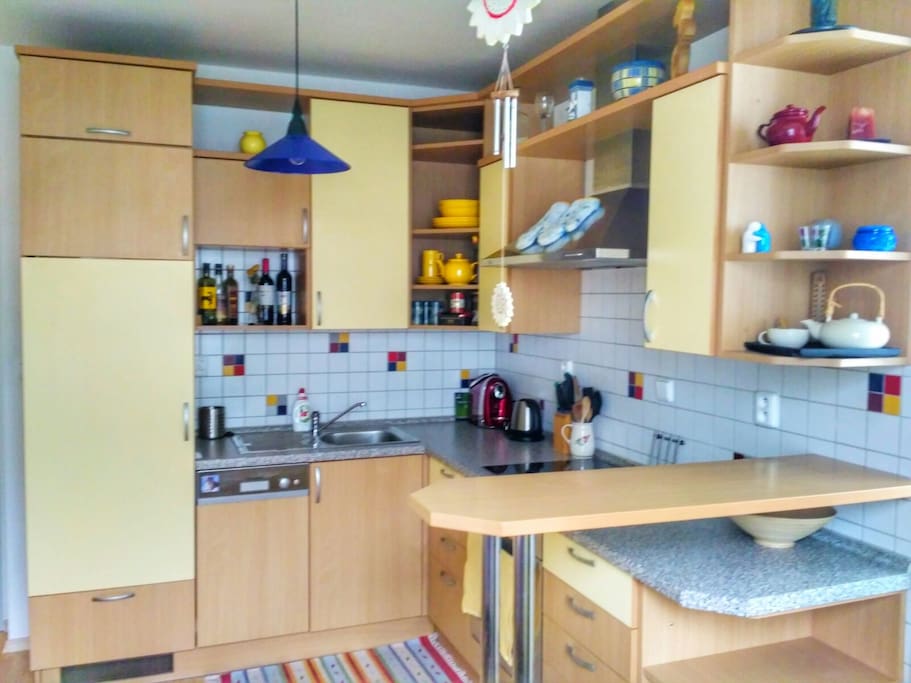 Plně vybavená kuchyň se sklokeramickou deskou, lednicí, mrazákem, troubou a myčkou / Fully equipped kitchen with ceramic hob, fridge, freezer, owen and dishwasher