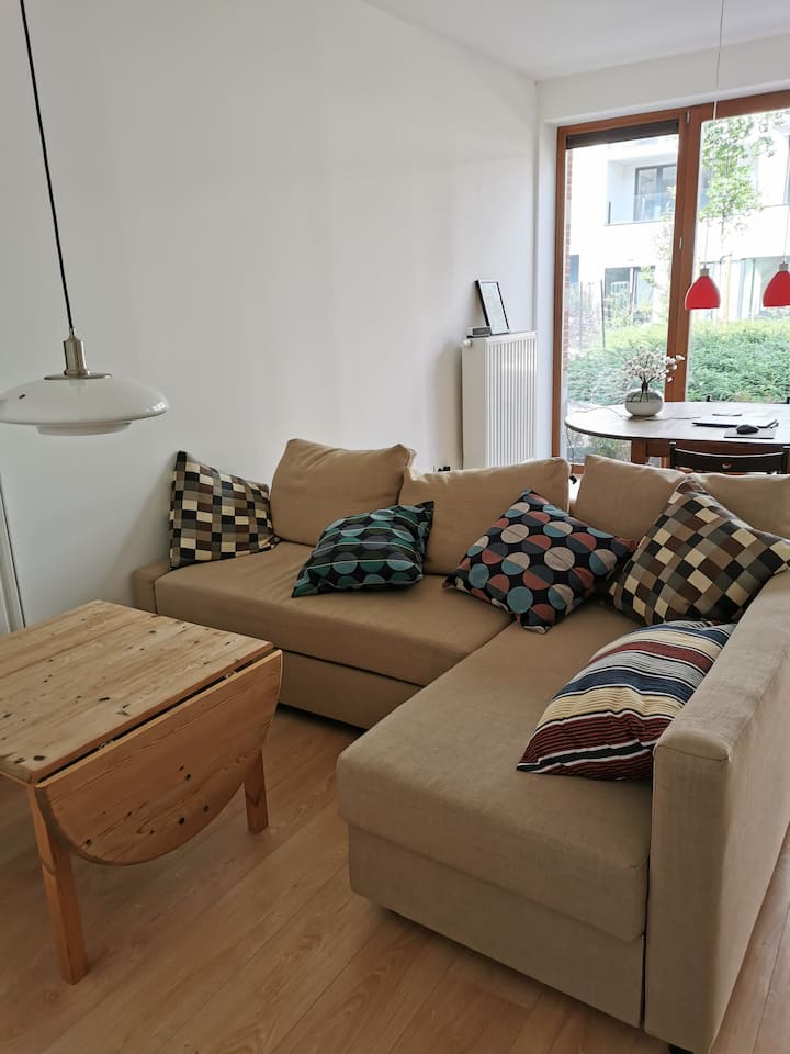 סלון עם ספה נפתחת ונוף לחצר משותפת.