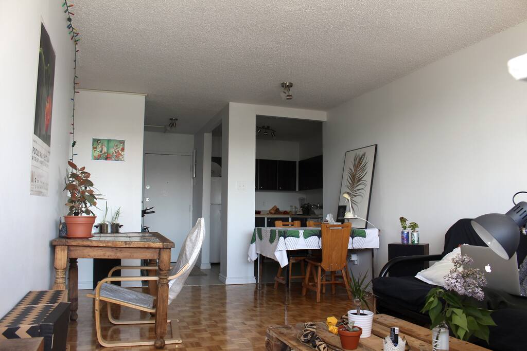 Salon / salle