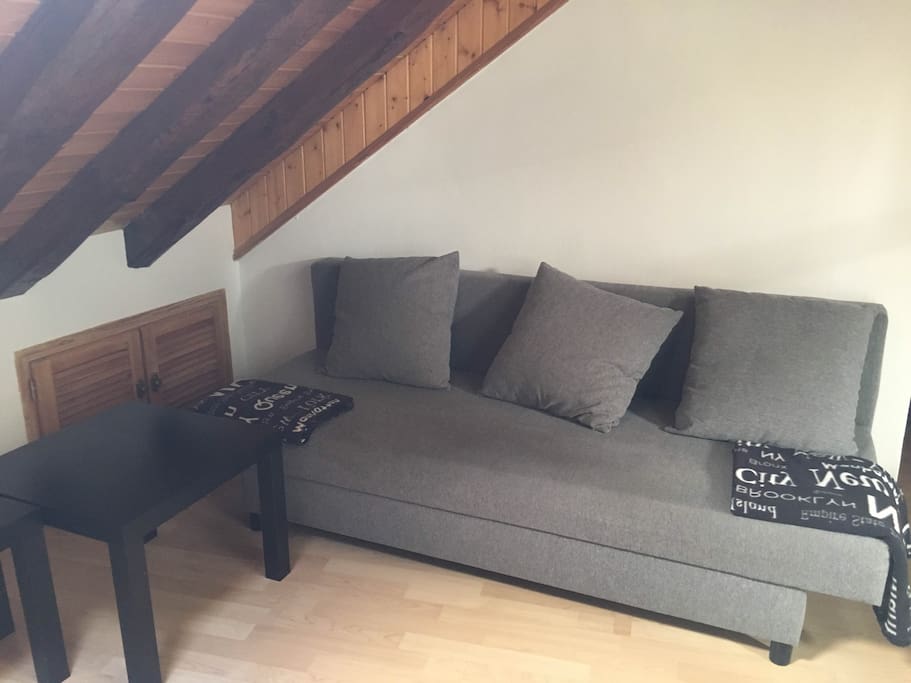 Salón : zona de descanso-sofá cama