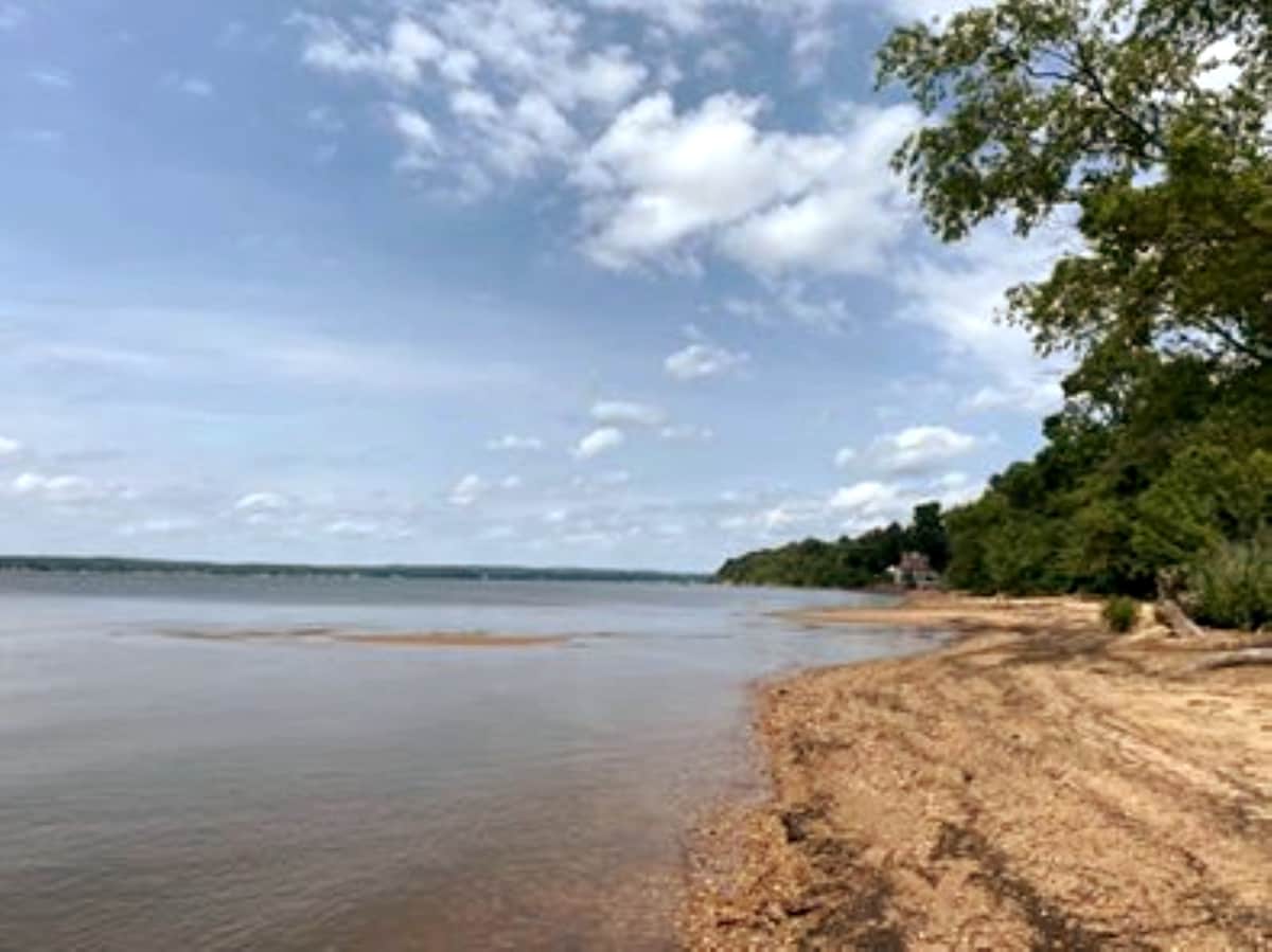 A serene shoreline is visible, featuring soft sand and pebbles along the water's edge. Gentle waves lap at the beach, while lush greenery lines the bank. A clear blue sky is adorned with scattered clouds, creating a peaceful atmosphere by the water.