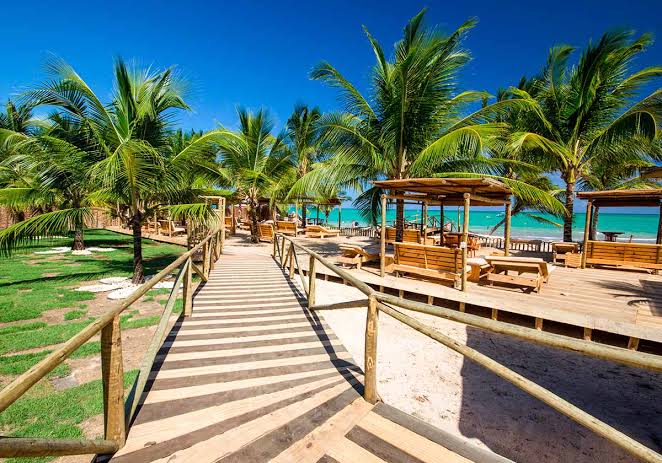A wooden boardwalk leads through a lush landscape dotted with palm trees, opening up to a beachside area. Sun loungers and cabanas are arranged thoughtfully along the sandy shore, creating a relaxing outdoor environment with views of the nearby turquoise water.