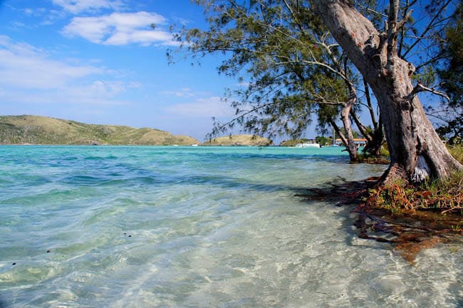 The image captures a serene coastal scene, featuring clear turquoise water gently lapping at the sandy shore. A lush tree extends its branches above the water, providing shade while rolling hills are visible in the background under a partly cloudy sky.