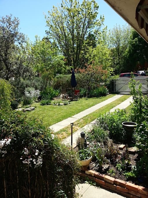 Kitchen herb garden