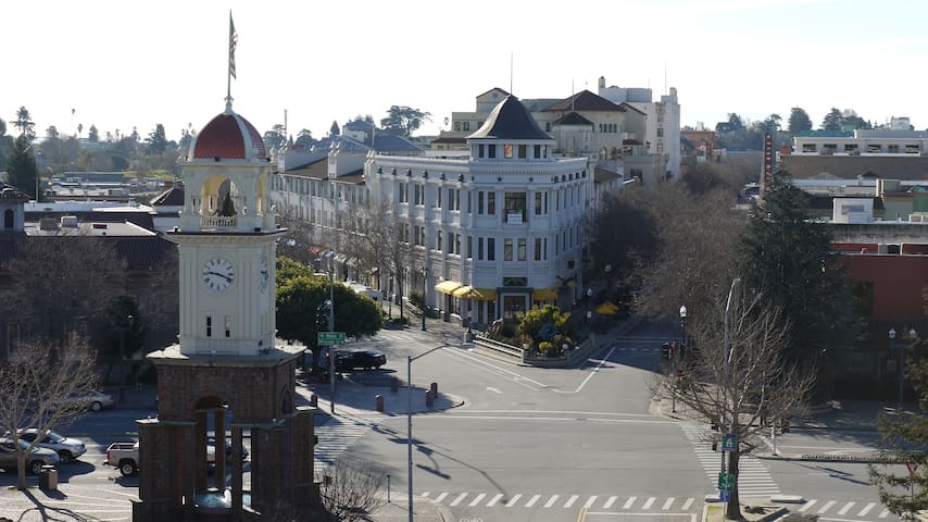 Master Bedroom w/ Jacuzzi Tub