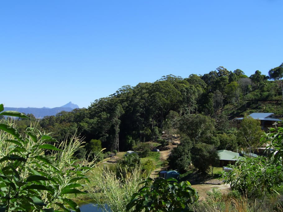 View to the South.