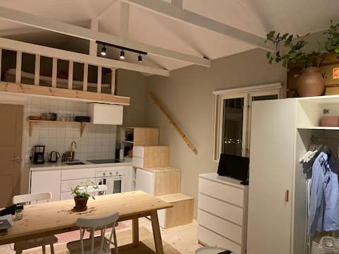 Popular Airbnb listing: Villa Rosenhill tiny house - 15 min to city in Järva