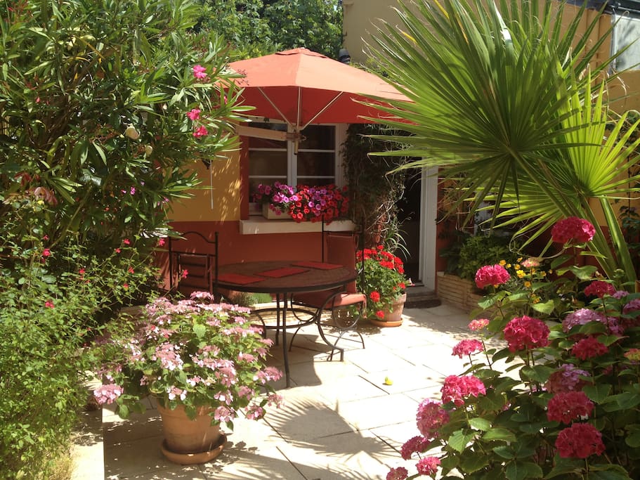 Patio arborée