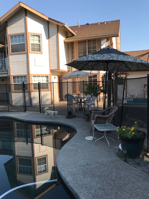Backyard pool area