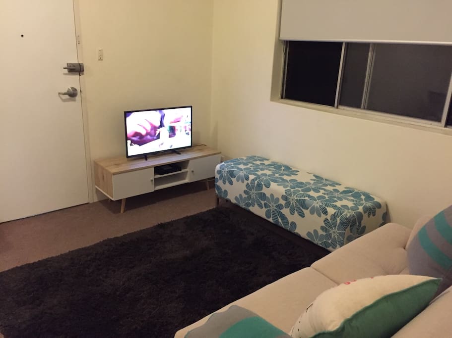 TV with Blue ray player, USB as well