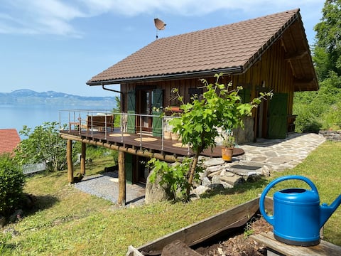 Le petit chalet des Greys