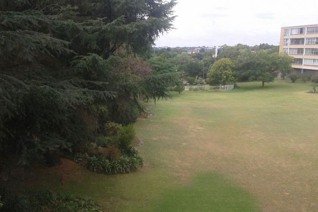 Gardens of the building with pool at the bottom