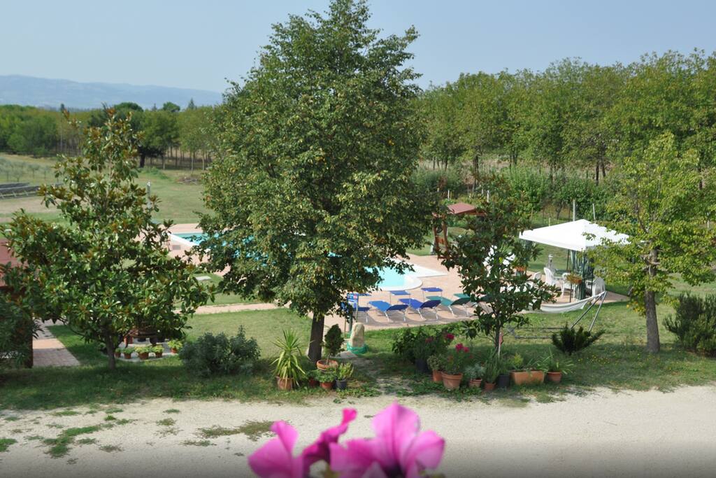 PICINA E PARCO