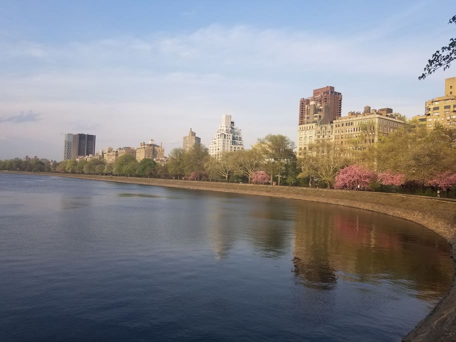 Ten minute walk to Central Park !
