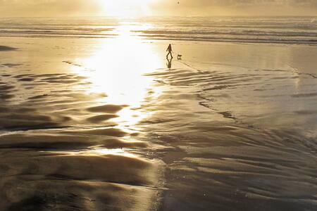Dreamy Day Stay - Pacific Room