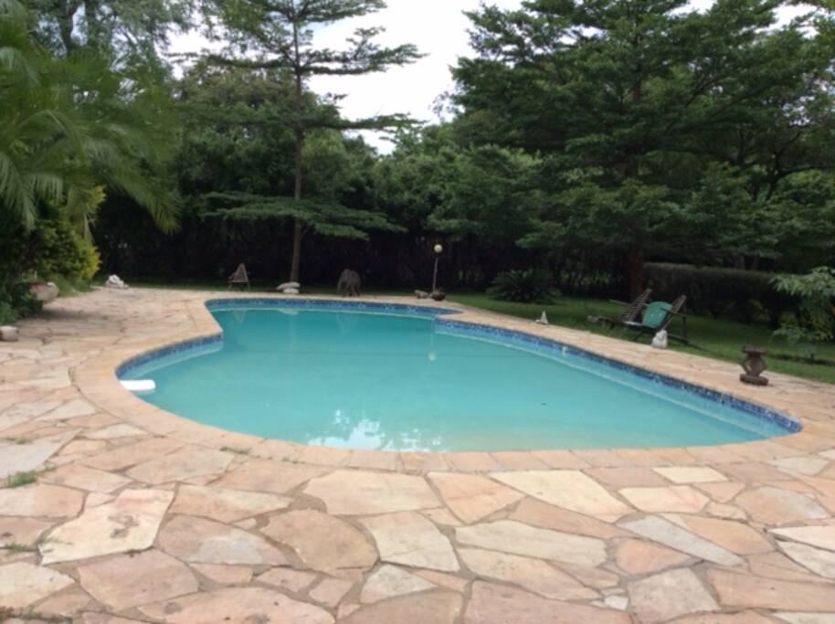 Swimming pool in pool garden 1 of three garden areas