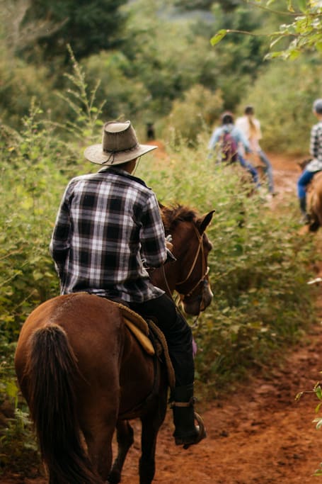 Airbnb Soroa Vacation Rentals Places To Stay Pinar