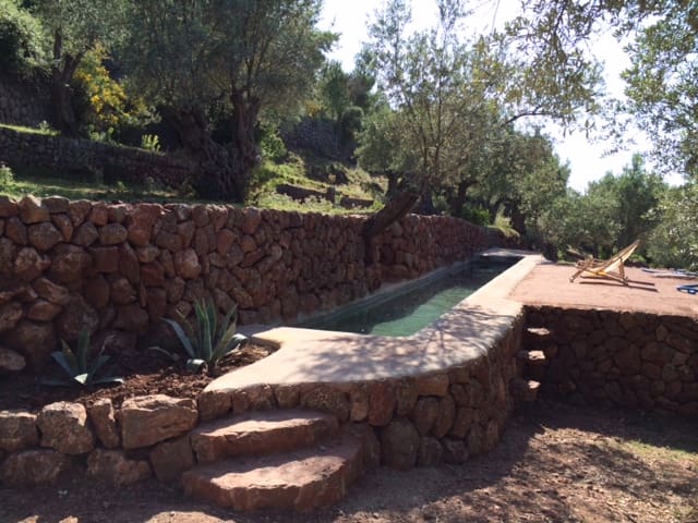 Olive farm room in Soller and Deia