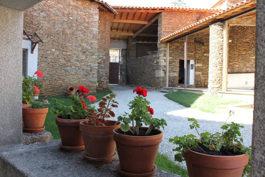 Patio interior