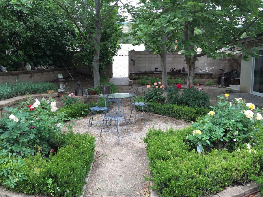 Back yard with lemon tree, fig tree, roses, swing, picnic table.