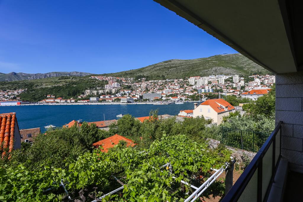 View