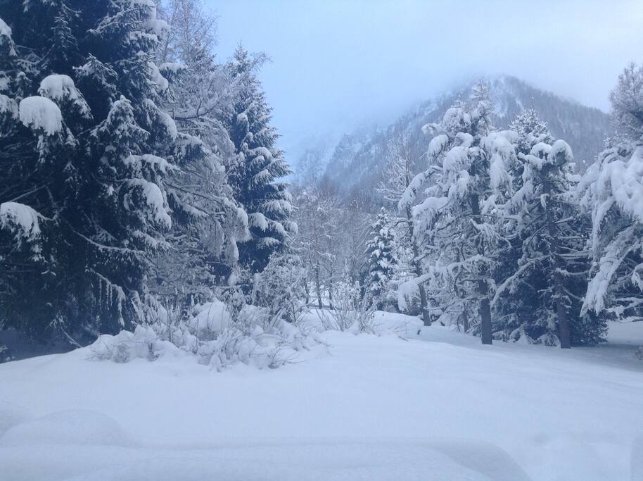 le jardin en hiver