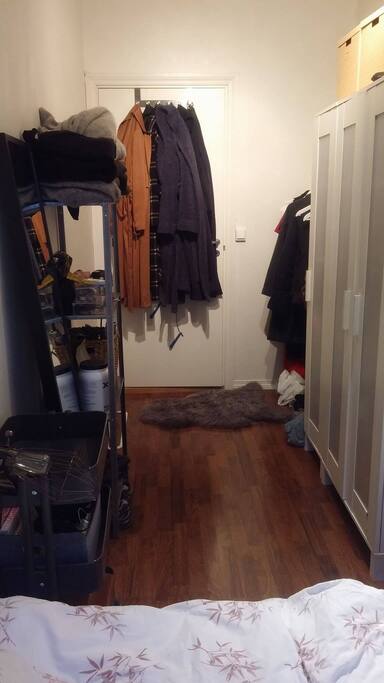 The room. Cabinet and shelves will be partly yours.