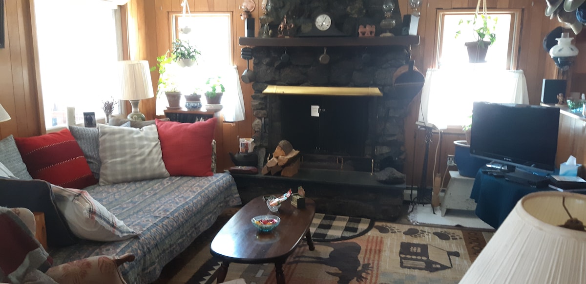 A living room features a stone fireplace with a yellow mantel, surrounded by plants. A sectional sofa with patterned cushions invites relaxation, while a coffee table with decorative items centers the space. The room is complemented by warm wooden walls and two windows letting in natural light.