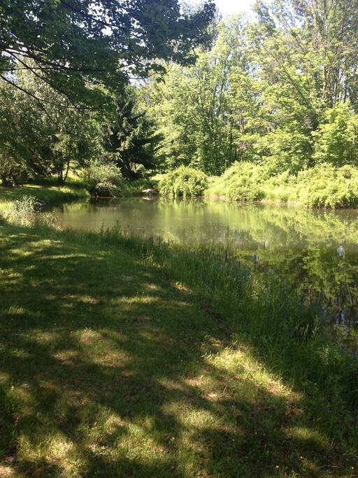 Spring fed pond is a delight both for nature lovers and swimmers. The deep crystal clear waters are lovely for a summer dip