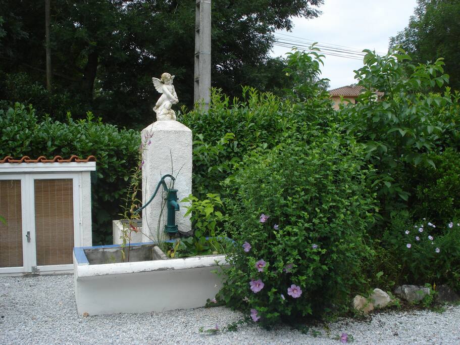 jardin