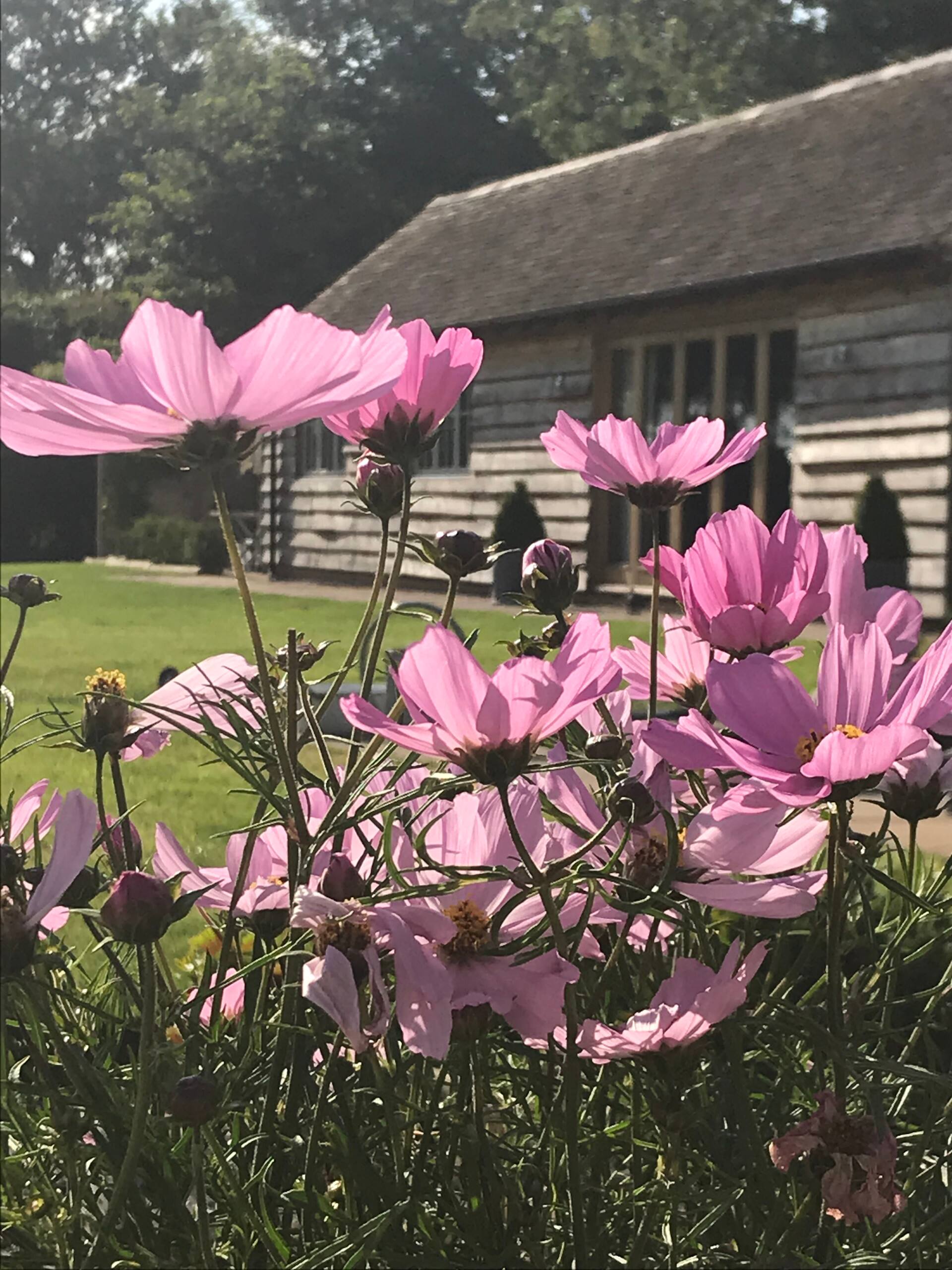 Lavender Lodge, Warwickshire, United Kingdom — photo 3
