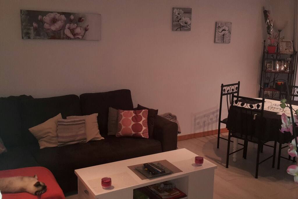 salon/ salle a manger