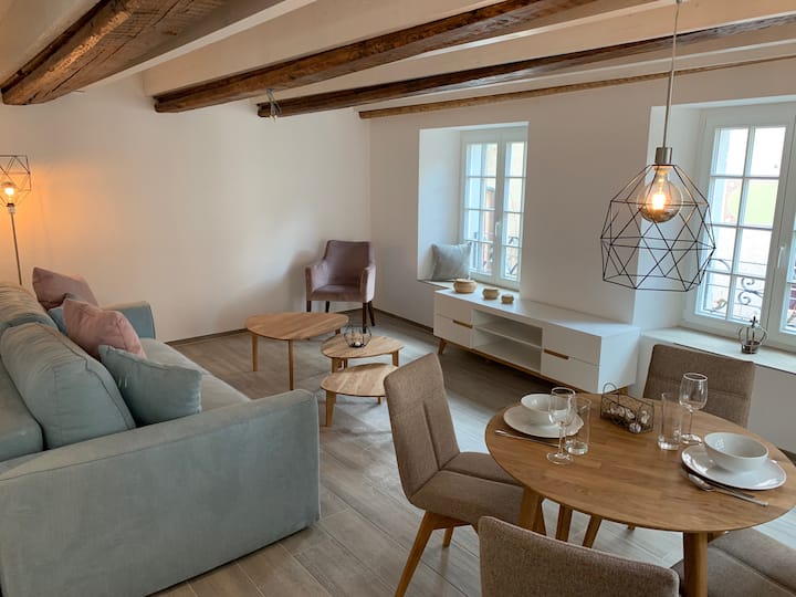 smartroom.ch, Boutique Apartment in Bremgarten Apartments for Rent in