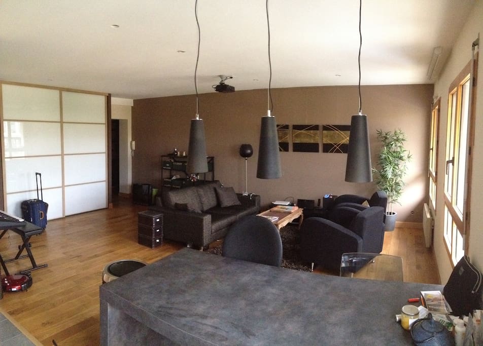 Le salon spacieux et lumineux avec une super vue