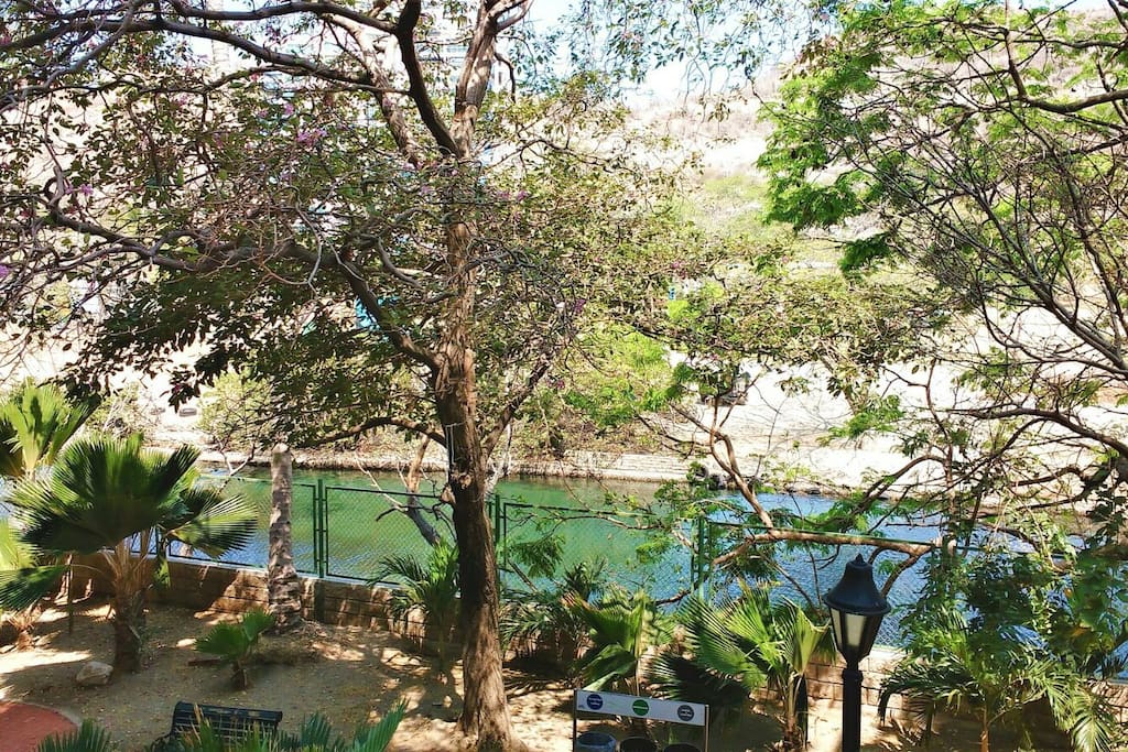 Vista desde el apartamento al canal de la marina y la reserva natural de iguanas