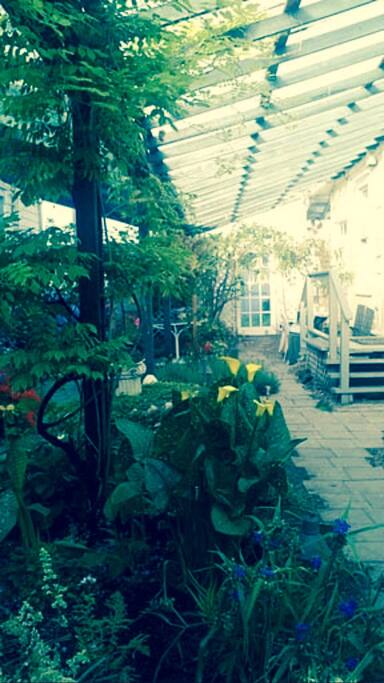 Beautiful atrium garden views