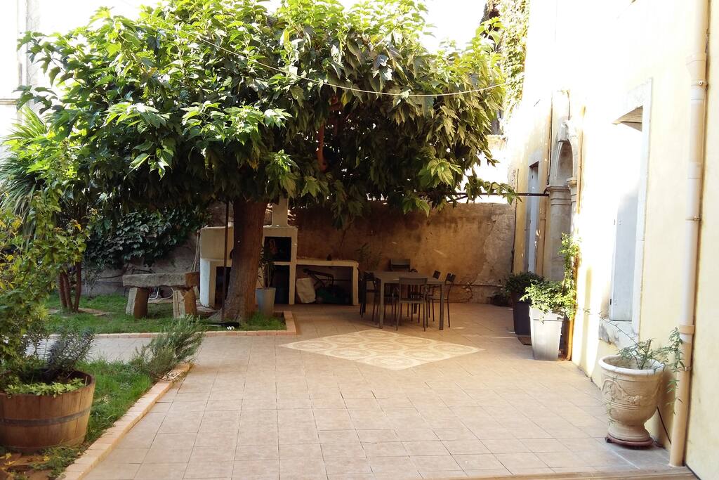 Terrasse et mûrier platane