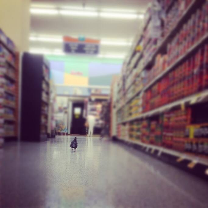 Foto de Lucky en Western Addition/NOPA